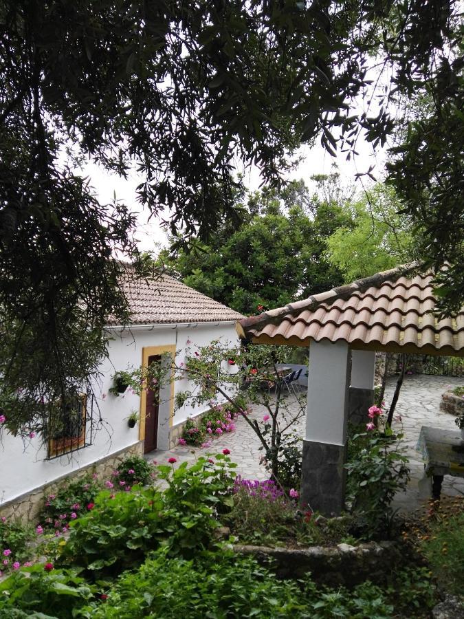 Casa El Cerro Villa Ел Боске Екстериор снимка
