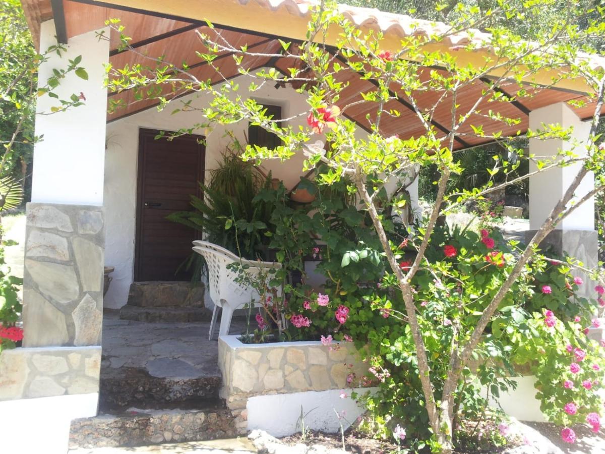Casa El Cerro Villa Ел Боске Екстериор снимка